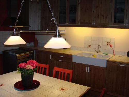 费瑞雷斯La Cense De Renière的厨房配有两盏灯和一张鲜花桌