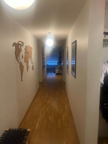 马尔默Eurovision city apartment malmö的走廊上设有墙上的世界地图