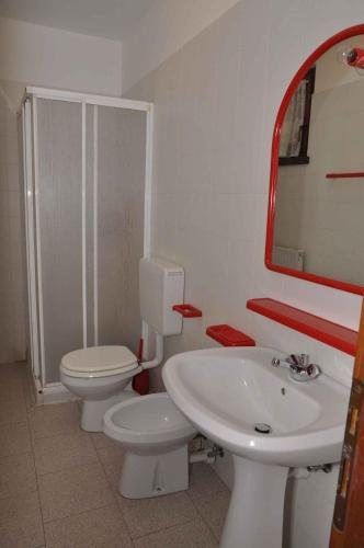 莱德罗Apartments in Pieve di Ledro/Ledrosee 22632的一间带水槽、卫生间和镜子的浴室