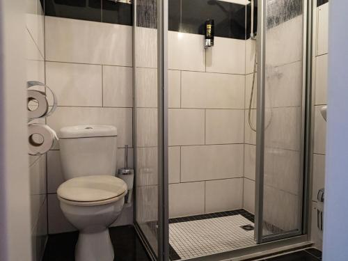 汉堡Hotel Stadion Stadt的一间带卫生间和淋浴的浴室