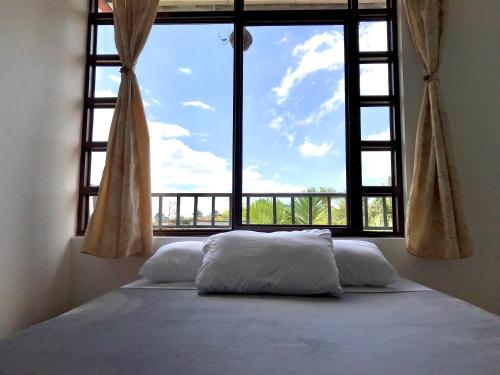 萨兰托Nature Hostel Salento的一张位于带大窗户的房间内的床铺