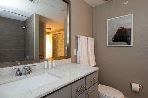 奥斯汀Landing Modern Apartment with Amazing Amenities (ID5843)的一间带水槽、卫生间和镜子的浴室