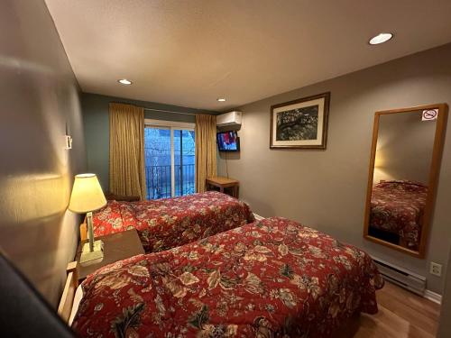多伦多Nox Hostel的酒店客房,设有两张床和镜子