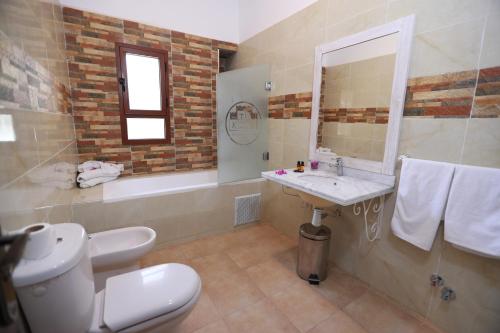 伊尔富德蒂兹米古堡酒店的一间带卫生间、水槽和镜子的浴室