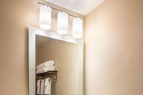 米尔堡TownePlace Suites by Marriott Fort Mill at Carowinds Blvd的浴室内的镜子,上面有灯