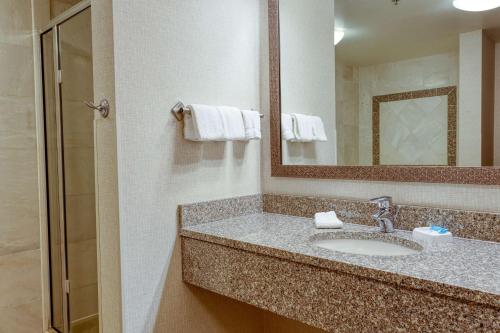 印第安纳波利斯印第安纳波利斯东北德鲁套房酒店的一间带水槽和镜子的浴室
