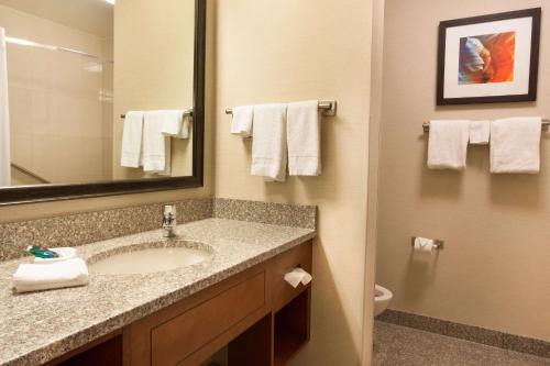 坦培坦培凤凰德鲁套房酒店的一间带水槽和镜子的浴室