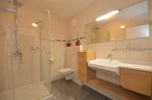 滨湖采尔APT Mountain View by - Alpen Apartments的一间带水槽、淋浴和卫生间的浴室