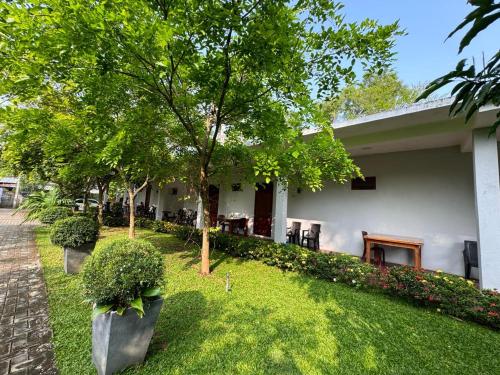 波隆纳鲁沃Hotel Sanhida Polonnaruwa的一座有树木和植物的院子