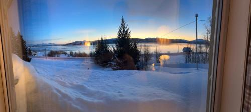 StraumstadSenja Peak Panorama的窗户享有雪覆盖的庭院的景致。