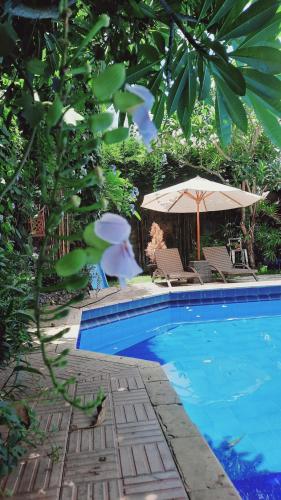 登巴萨Villia magnolia sanur bali 巴厘島玉蘭別墅的一个带两把椅子和遮阳伞的游泳池