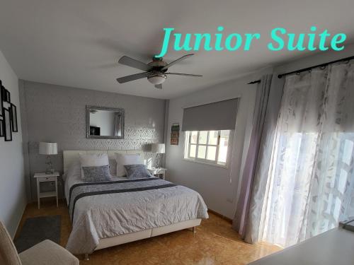 圣胡安海滩Casa Mariposa Guesthouse的一间卧室配有一张床和吊扇