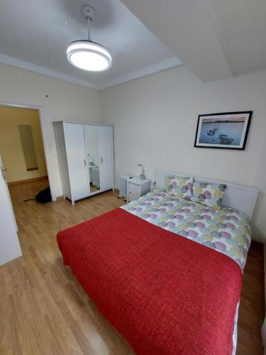 阿利坎特Cesar Apartment的一间卧室配有一张带红色毯子的大床