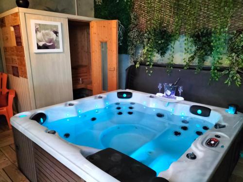 圣布里厄Le Jardin Secret & Spa的按摩浴缸位于客房中间