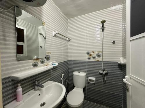 苏尔鲁录亚特阿尔菲亚公寓式酒店的一间带卫生间和水槽的浴室