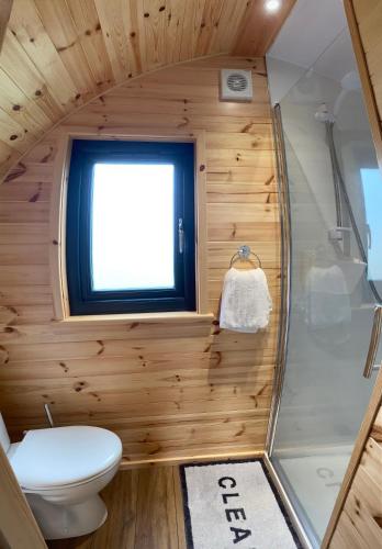 斯托诺韦The Sandy Pod的一间带卫生间和窗户的小浴室
