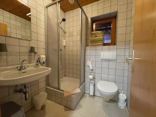 滨湖费尔德图尔奈霍夫宾馆的一间带水槽、卫生间和淋浴的浴室