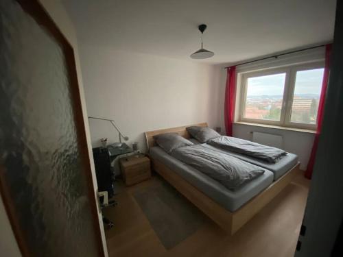 埃朗根Helle 2-Zimmer Wohnung Erlangen的一间小卧室,配有床和窗户