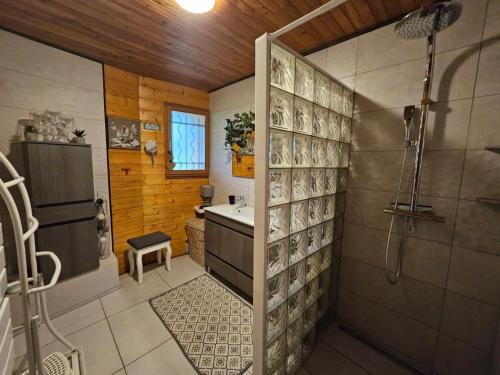 波旁朗西Grand Chalet的带淋浴和盥洗盆的浴室