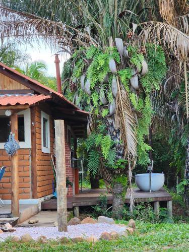 戈亚斯州上帕莱索Refúgio Tao Cerrado Chalé Pé de Serra的前面有棕榈树的房子