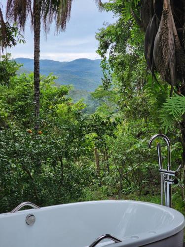 戈亚斯州上帕莱索Refúgio Tao Cerrado Chalé Pé de Serra的享有森林美景的浴缸