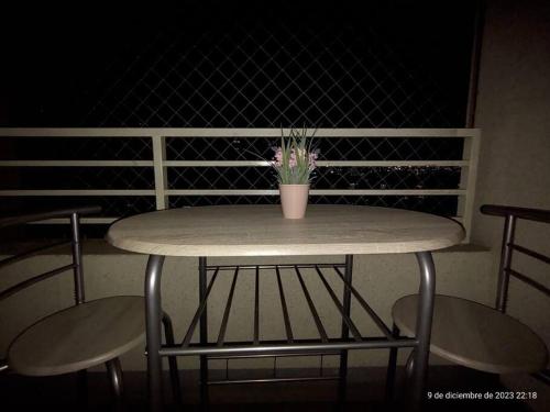 圣地亚哥Apartamento La Florida Mirador的上面有盆栽的桌子