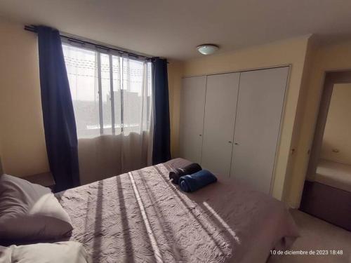 圣地亚哥Apartamento La Florida Mirador的一间卧室,配有一张带袋子的床