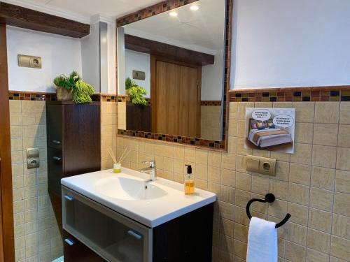 代尔特布雷Casa Enric 2的一间带水槽和镜子的浴室