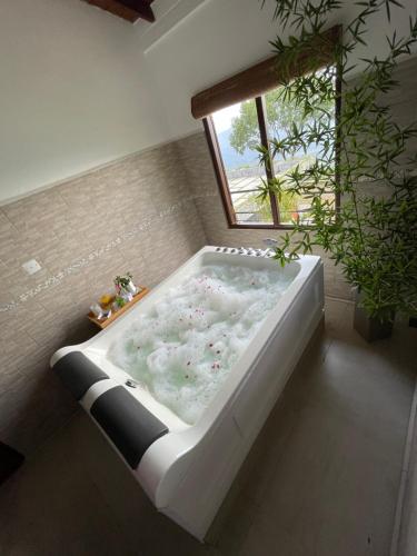 哈普特莱Hapu Tales - Private Holiday Villa的带浴缸的浴室和窗户