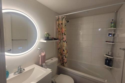 温尼伯Two luxury bedrooms in the basement的一间带水槽、卫生间和镜子的浴室