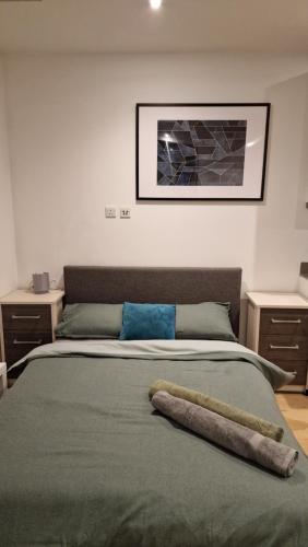 伦敦London Tottenham Stadium Apartment的一间卧室配有一张床铺,床上有毯子
