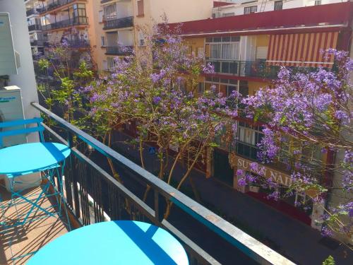 福恩吉罗拉Ramon - Y - Cajal的一座建筑里种有紫色花的阳台