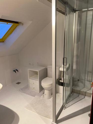 斯滕奥克尔泽尔Perk25A的一间带卫生间和玻璃淋浴间的浴室