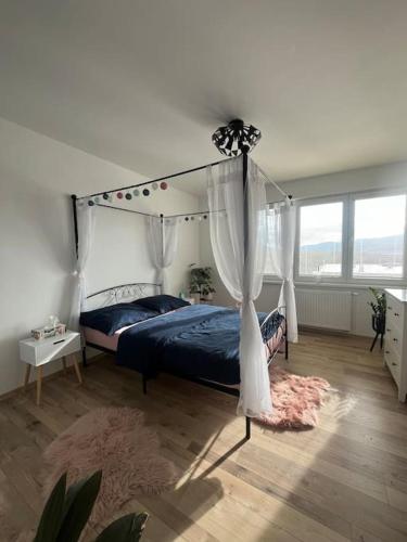 特伦钦Apartmán Marry的一间卧室配有一张带天蓬的床