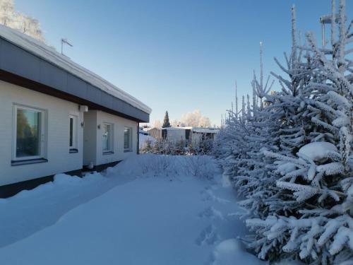 罗瓦涅米Rovaniemi - quality detached house with sauna nearby services的一座房子旁边的雪地里