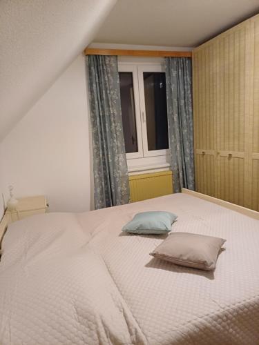 Ferienhaus Häusler的一间卧室配有一张大床和两个枕头