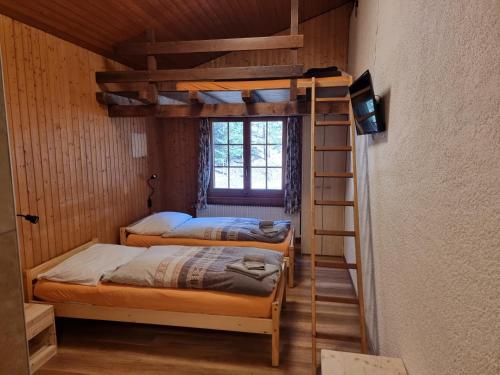 奥西耶尔Le Catogne的带梯子的客房内的两张双层床