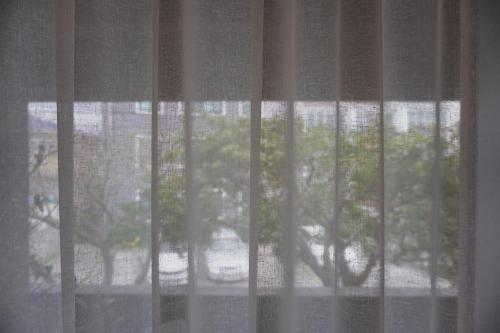 济州市At corner resort & garden的透过窗户欣赏树景