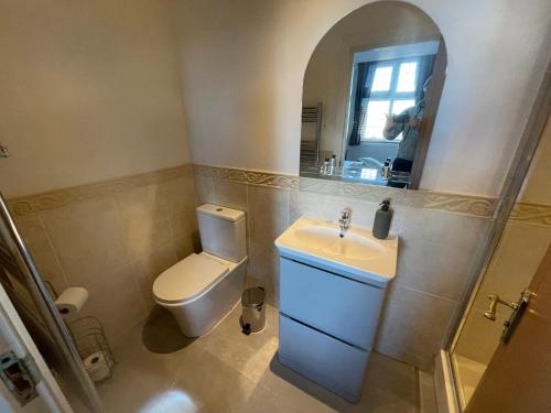 伯恩茅斯Burlington Mansions的一间带卫生间、水槽和镜子的浴室