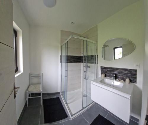 纳雅克Gite La Baraque的带淋浴、盥洗盆和镜子的浴室