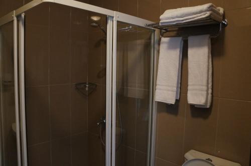 布鲁塞尔航空酒店的带淋浴的浴室,配有毛巾架