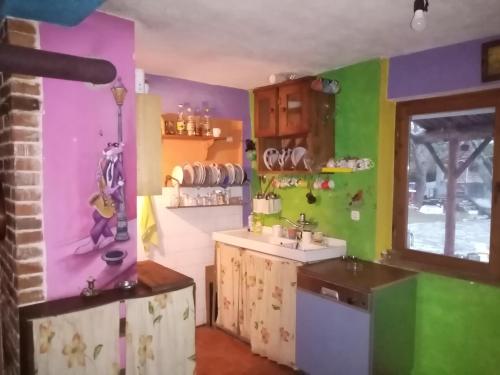 普里莱普Residence "Ana Pletvarska"的厨房设有色彩缤纷的墙壁和水槽