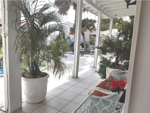 奥拉涅斯塔德Palmita Hostel Chez Harmony的一个带棕榈树的门廊和天井上的长凳