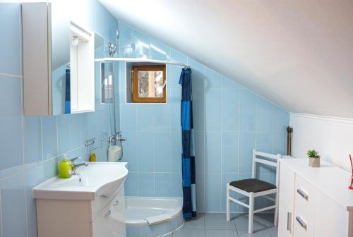 武科瓦尔Vesna的蓝色的浴室设有水槽和卫生间