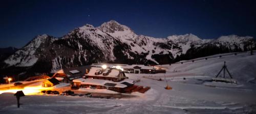 黑马戈尔Sonnleitn AlpinWell Appartment (Ski in&out + Wellness)的雪中滑雪小屋