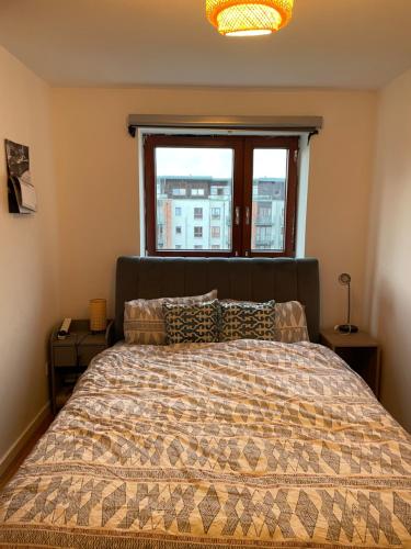 都柏林Two bed fully furnished apt的一间卧室设有一张大床和窗户