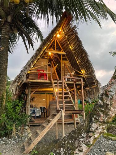 努基Chowa lodge的茅草屋顶小屋,设有楼梯和棕榈树