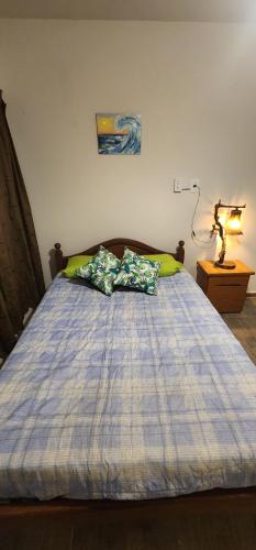圣马丁Casa Malbec的卧室内的一张带两个枕头的床