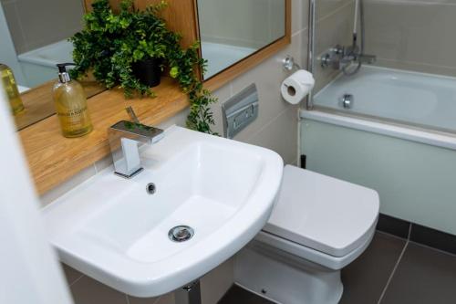 伦敦Luxury 2 bed- 2 bath Riverside Haven的一间带水槽、卫生间和镜子的浴室