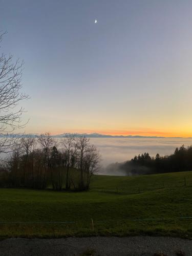 GrandeventTévenon Vue Panoramique Alpes-Lac的一片绿地,一片树木,一片田野,一片日落